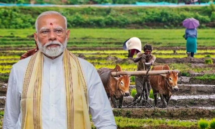 मोदी कैबिनेट का बड़ा फैसला: खरीफ फसलों के MSP में इजाफा, किसानों को बड़ी राहत